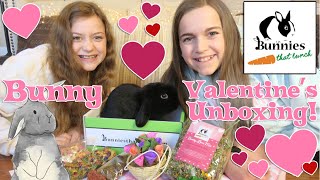 Unboxing Bunnies that Lunch Valentine's Subscription Box! | Crazy8Family