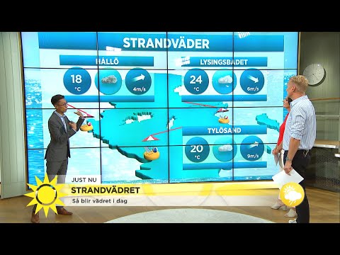 Så blir strandvädret i dag - Nyhetsmorgon (TV4)