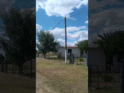 Localidad de El Eucalipto , M.E.V.I.R. , departamento de Paysandú , Uruguay 🇺🇾. Videitos