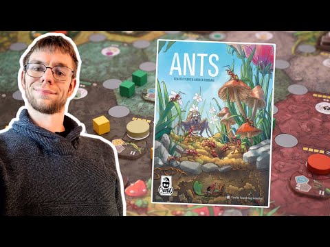 Ants : gameplay and impressions