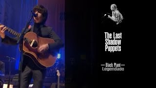 The Last Shadow Puppets - Black Plant [Legendado]