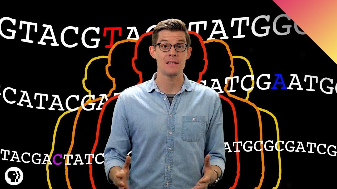 CRISPR and the Future of Human Evolution