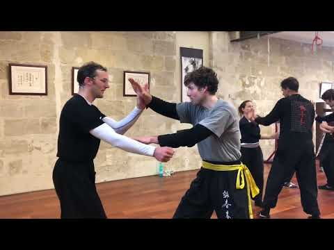 Johan Merley - Bordeaux 2019 - Stage de Wing Chun