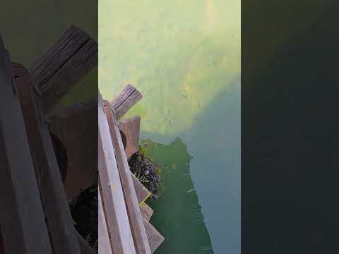 lugar muito top São Manoel do Paraná