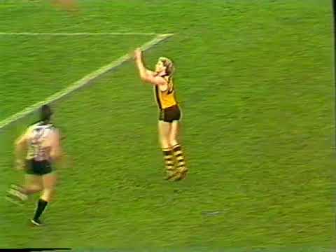 1986 Round 8 VFL Highlights 3 mins
