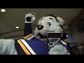 Taking Your Blood Pressure at Home with the St. Louis Blues Mascot Louie