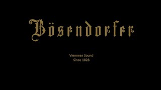 Ludwig Bösendorfer: Launen - Walzer