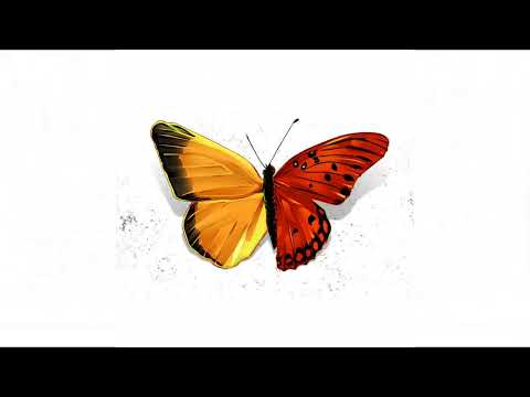 Jeffery DX - Happy For Me feat. ZI3RE & Antonia Marquee