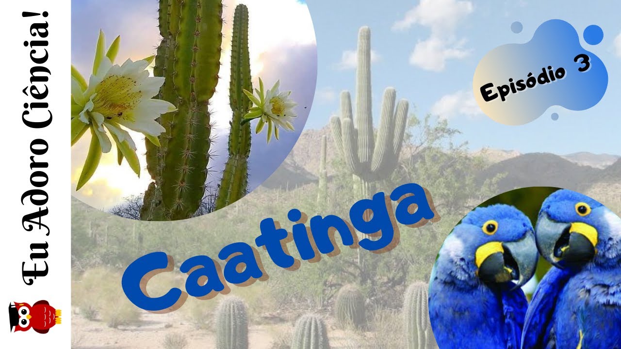 Biomas e Ecossistemas Brasileiros - CAATINGA (Episódio 3)