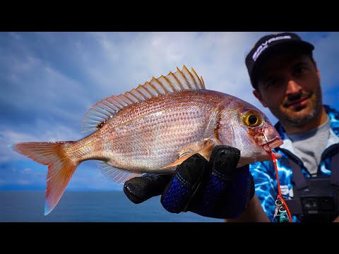 Shore Jigging Vlog#4: a FULL fishing day!