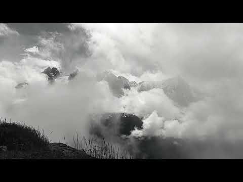 Petos - VIII feat. Pinja Särkijärvi (visuaali)