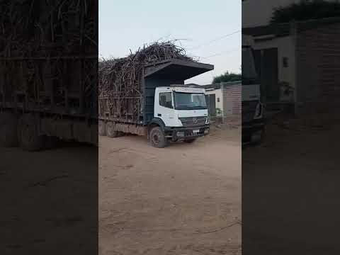caminhão 2831 na cena na cidade de Vicência Pernambuco 🇧🇷🌾✨