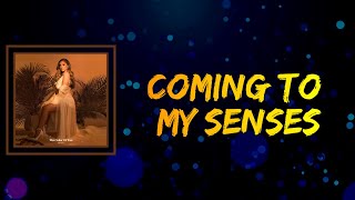 Alina Baraz - Coming To My Senses (Lyrics)