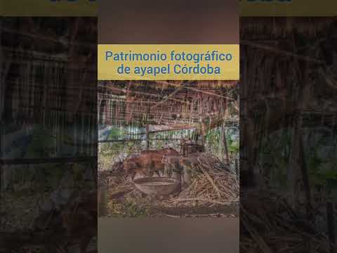 municipio de ayapel Córdoba y su patrimonio histórico fotográfico #shorts