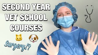WHAT COURSES I'M TAKING AS A SECOND YEAR VETERINARY STUDENT