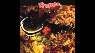 John Tropea "Muff" Tropea (1975)