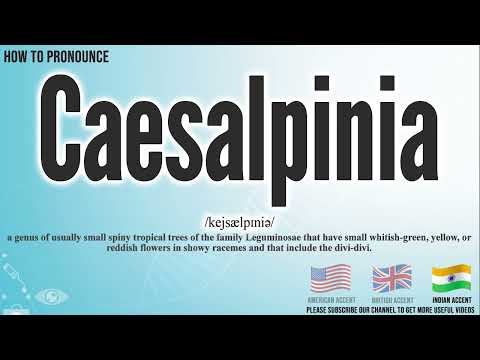 Caesalpinia Pronunciation | How to Pronounce (say) Caesalpinia CORRECTLY | Meaning Definition