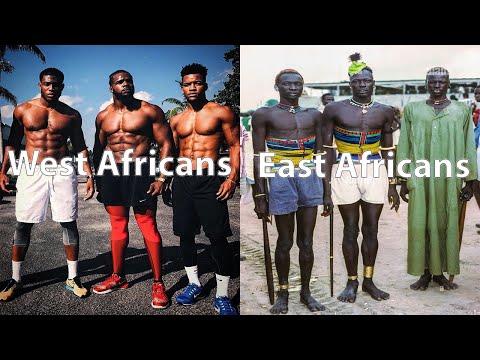 Why Do West Africans Have More Fast Twitch Muscle Genes?