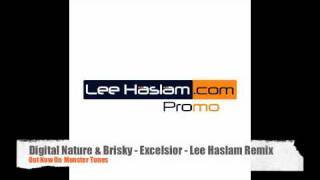 Digital Nature & Brisky - Excelsior (Lee Haslam Remix)