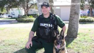 Music video thumbnail preview for Video: Man tries to kidnap child inside Florida store by Stop the Shoppers