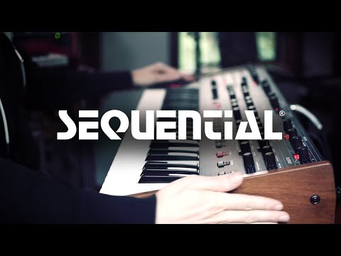 Surprise! OB-6 Easter Egg Reveal With J3PO