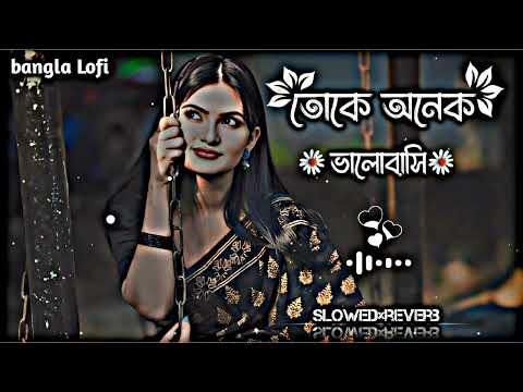Toke Onek Valobashi | তোকে অনেক ভালোবাসি | Lofi Song | Slowed + Reverb | Bangla Lofi Song |