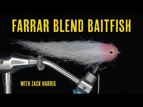 Steve Farrar Blend Baitfish - || FLY TYING TUTORIAL || - With Zack Harris
