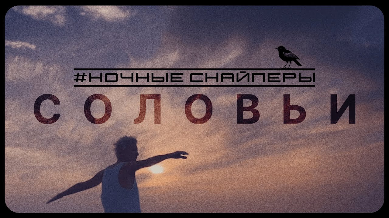 Ночные Снайперы — Соловьи