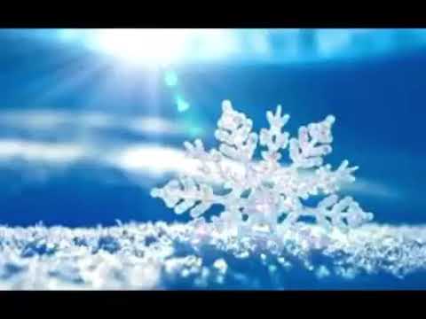 Vjeko Josic - Kraljice