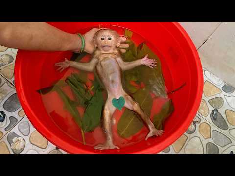 Lulu’s Condition Worries Everyone — Grandma Calls Dad | Can He Help Save Her?