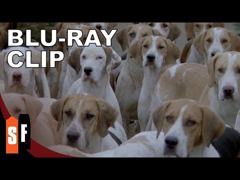 Puppy Overload