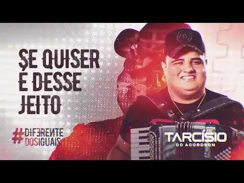 Se quiser é desse jeito - Tarcísio do Acordeon - REPERTÓRIO NOVO
