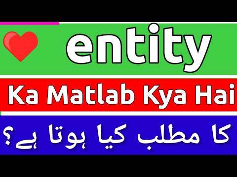 Entity Meaning In Urdu | Entity Ka Matlab Kya Hota Hai | Entity Ka Meaning Kya Hai | Entity Ka Matla