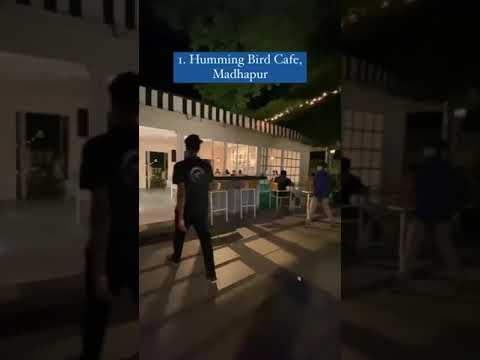 Top Three Cafes in Hyderabad pet loving cafe /HYDERABADI EXPLORER/