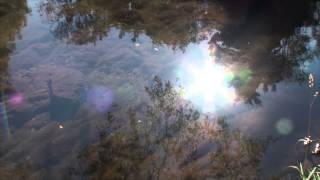 Always - Corey Hart - fan video