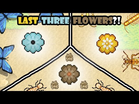 Pocket Ants: LAST 3 FLOWERS!!