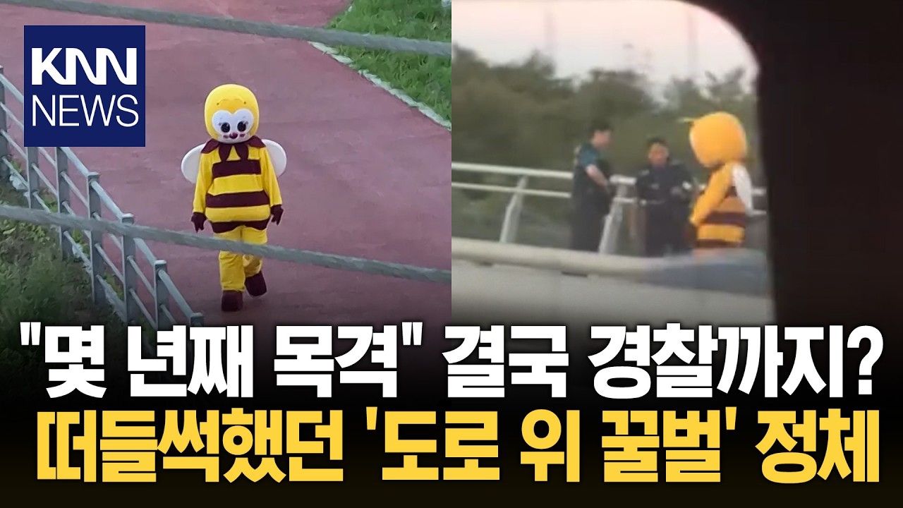"저 꿀벌 정체 아는사람?" 파주에서 발견된 커다란 꿀벌