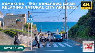 [問卦] 日本為啥喜歡把人行道做的比車道寬大？