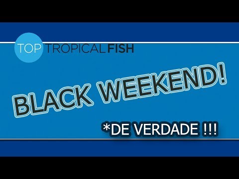Top Tropical Fish - Black Weekend de verdade !