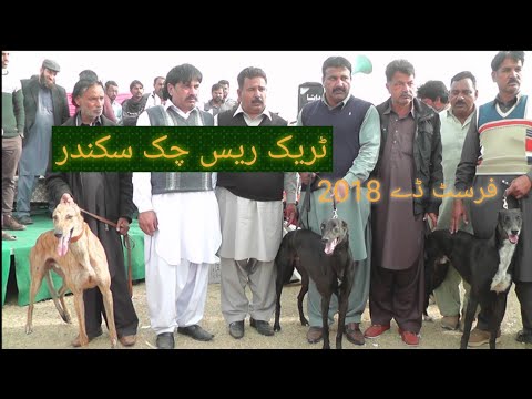 Dog Race Day 1 Chaksikandar Gujrat
