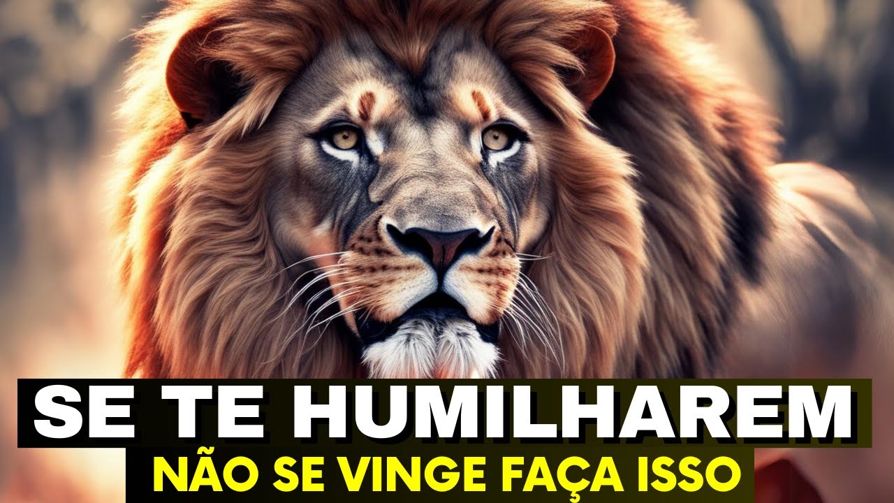 Como Pagar o Mal com o Bem? Uma Incrível História de Sabedoria para REFLETIR