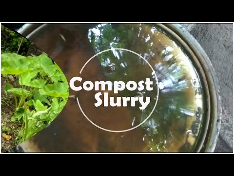 Compost Slurry Preparation – ambujjam