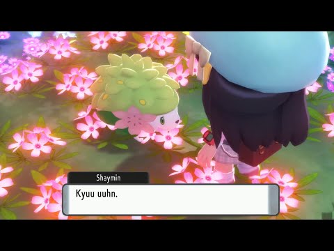 How to Catch Shaymin And Change to Sky Form in Pokemon Brilliant Diamond & Shining Pearl