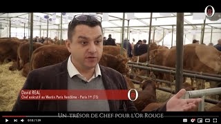 Un trésor de Chef pour l'Or Rouge