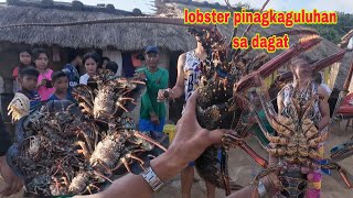 Pinagkaguluhan ang lobster sa banua