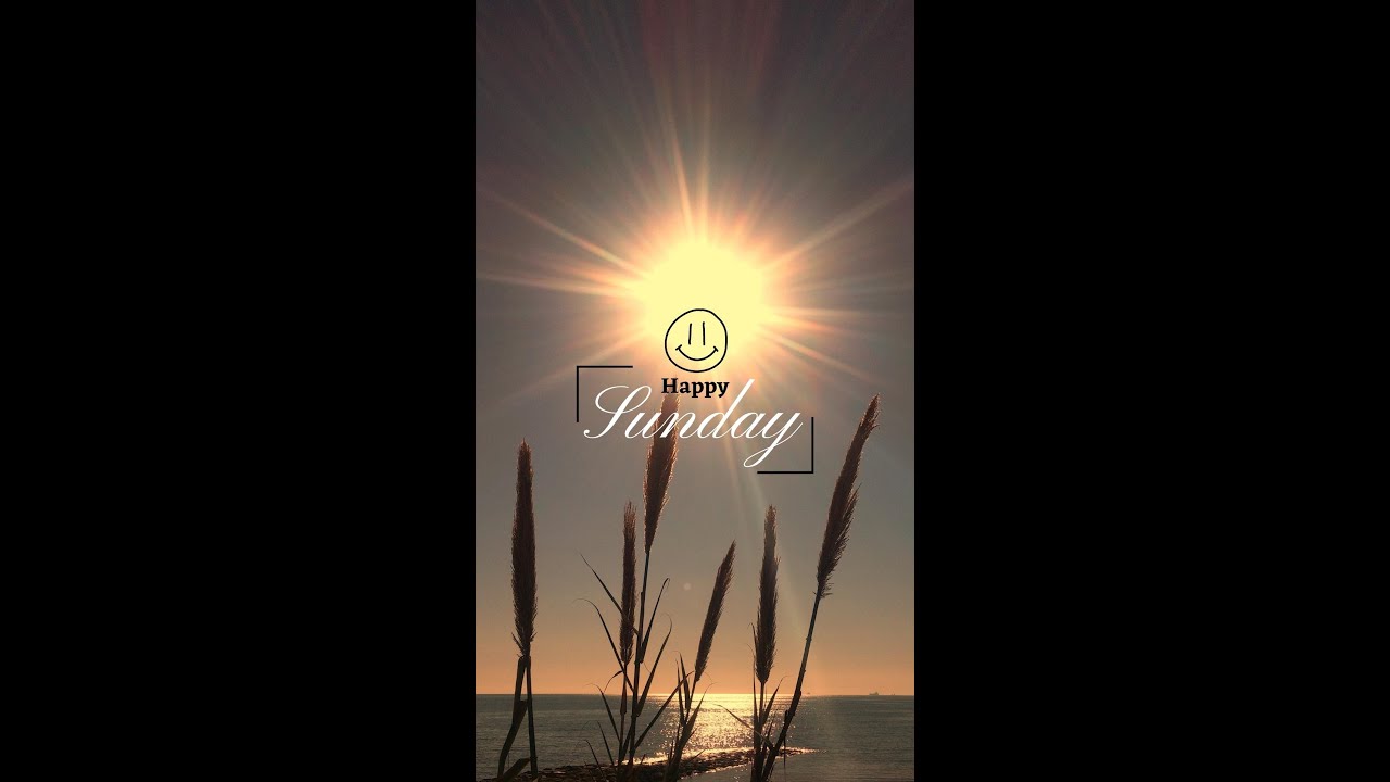 Happy Sunday YouTube [Shorts]