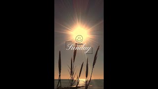 Download lagu Selamat Hari Minggu YouTube [Video Pendek] mp3