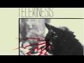 Telekinesis - Dirty Thing (Weekend Wolves Remix ...