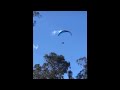 Swoopy Bois Magpie Attack Compilation