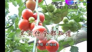 MI SE NI CUEN TOU CE TAU (TU SIAU FUNG) V.7